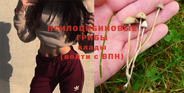 каннабис Балабаново