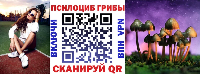 Галлюциногенные грибы Psilocybe  закладки  Дорогобуж 